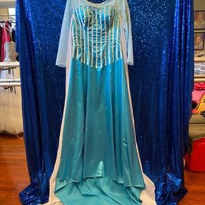 Elsa cosplay women’s costume-size Med